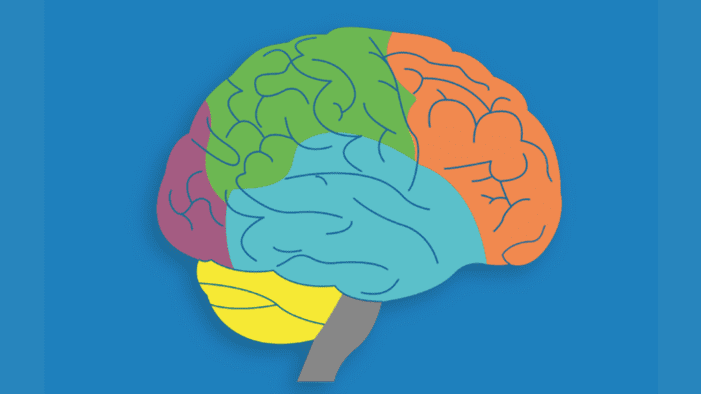 Emotional Intelligence and the Prefrontal Cortex Original