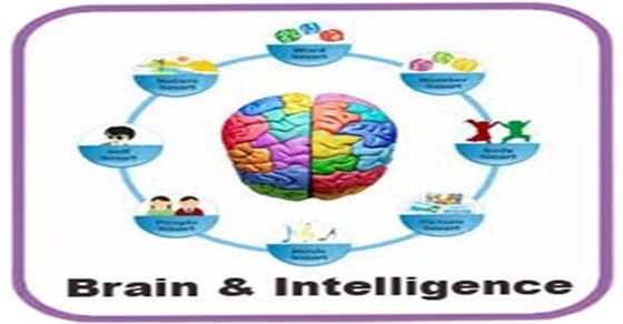 Understanding the Connection Between Executive Functioning & Intelligence